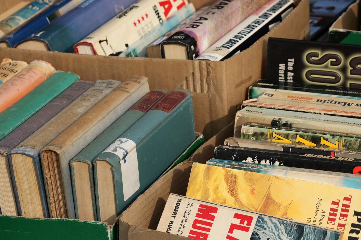 Books in boxes with their spines facing up.